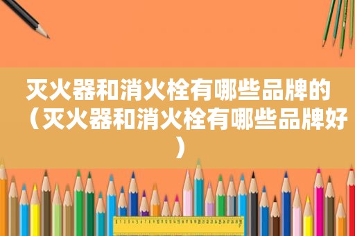 灭火器和消火栓有哪些品牌的（灭火器和消火栓有哪些品牌好）