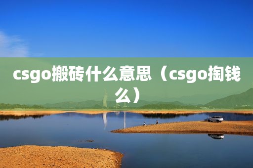 csgo搬砖什么意思（csgo掏钱么）