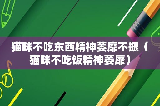猫咪不吃东西精神萎靡不振（猫咪不吃饭精神萎靡）