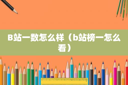 B站一数怎么样（b站榜一怎么看）
