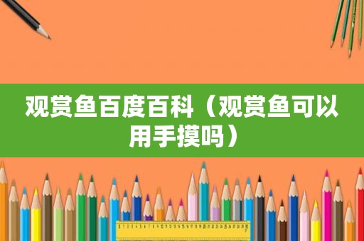 观赏鱼百度百科（观赏鱼可以用手摸吗）