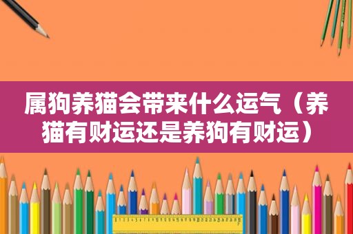 属狗养猫会带来什么运气（养猫有财运还是养狗有财运）