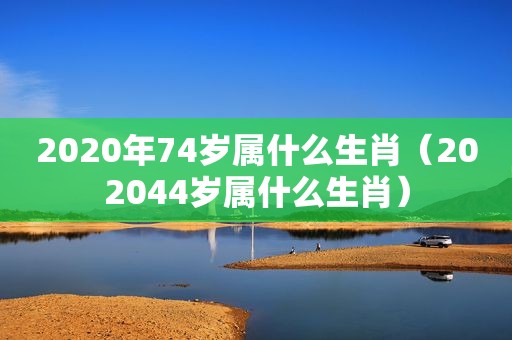 2020年74岁属什么生肖（202044岁属什么生肖）