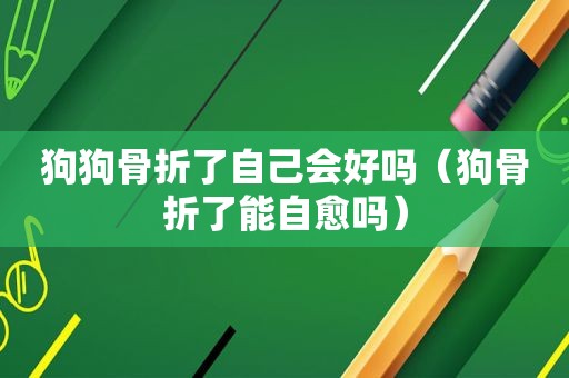 狗狗骨折了自己会好吗（狗骨折了能自愈吗）