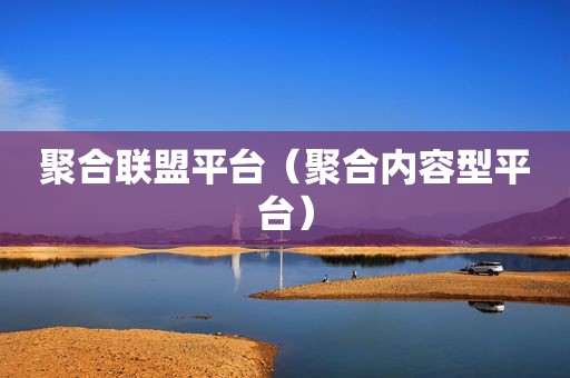 聚合联盟平台（聚合内容型平台）