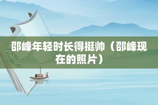邵峰年轻时长得挺帅（邵峰现在的照片）