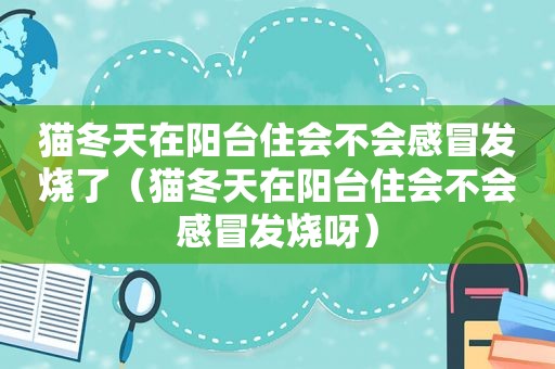猫冬天在阳台住会不会感冒发烧了（猫冬天在阳台住会不会感冒发烧呀）