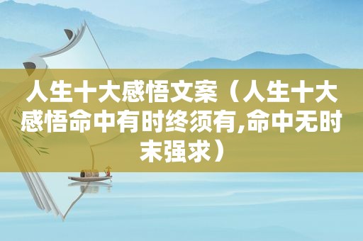 人生十大感悟文案（人生十大感悟命中有时终须有,命中无时末强求）