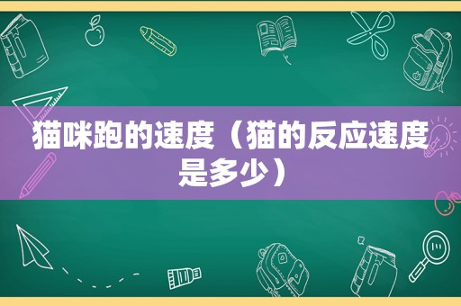 猫咪跑的速度（猫的反应速度是多少）