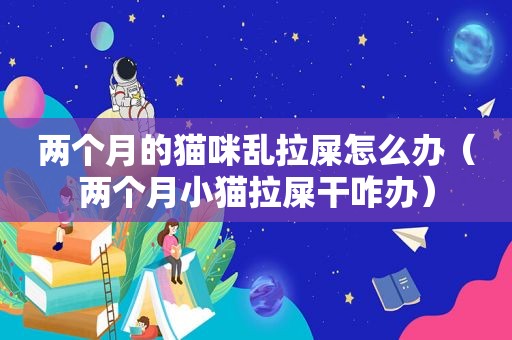 两个月的猫咪乱拉屎怎么办（两个月小猫拉屎干咋办）