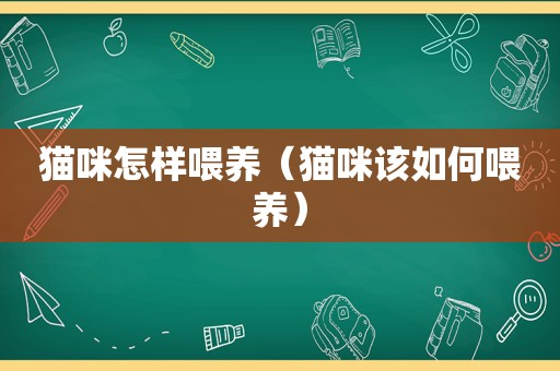 猫咪怎样喂养（猫咪该如何喂养）