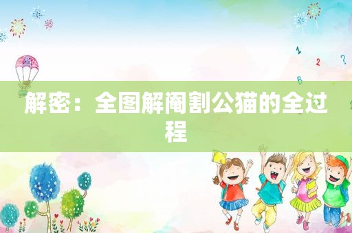 解密：全图解 *** 公猫的全过程