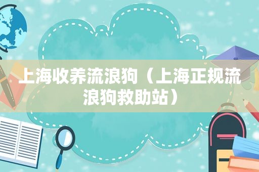 上海收养流浪狗（上海正规流浪狗救助站）