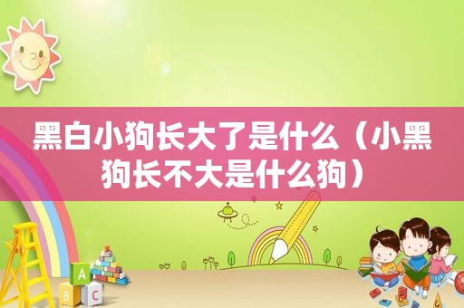 黑白小狗长大了是什么（小黑狗长不大是什么狗）