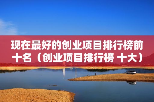 现在最好的创业项目排行榜前十名（创业项目排行榜 十大）