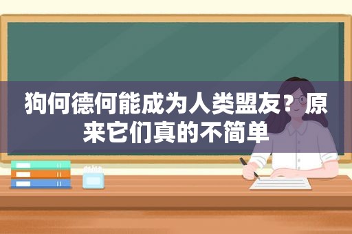 狗何德何能成为人类盟友？原来它们真的不简单