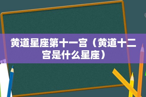 黄道星座第十一宫（黄道十二宫是什么星座）