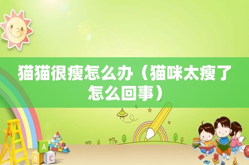 猫猫很瘦怎么办（猫咪太瘦了怎么回事）