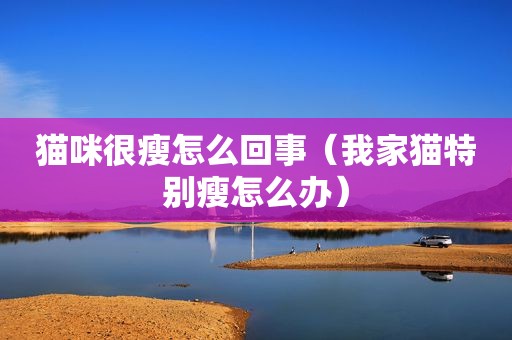 猫咪很瘦怎么回事（我家猫特别瘦怎么办）