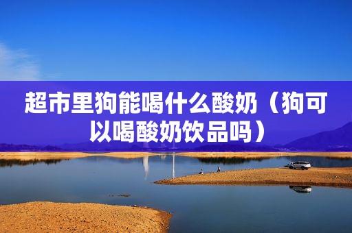 超市里狗能喝什么酸奶（狗可以喝酸奶饮品吗）