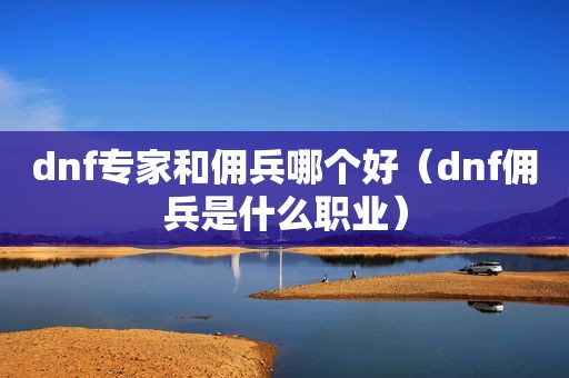 dnf专家和佣兵哪个好（dnf佣兵是什么职业）