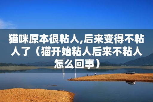 猫咪原本很粘人,后来变得不粘人了（猫开始粘人后来不粘人怎么回事）