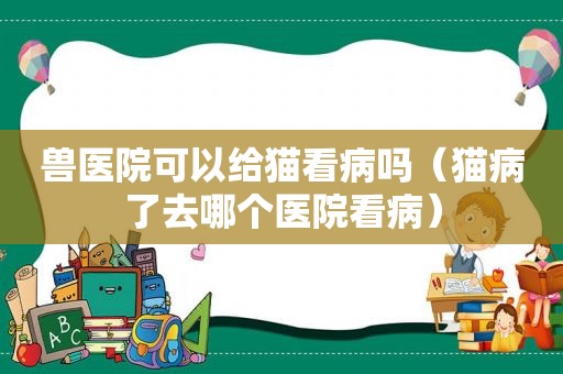 兽医院可以给猫看病吗（猫病了去哪个医院看病）