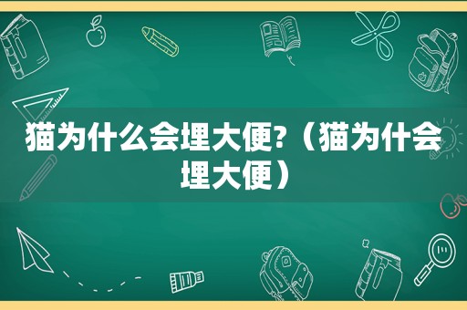 猫为什么会埋大便?（猫为什会埋大便）