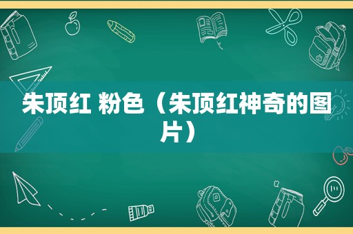 朱顶红 粉色（朱顶红神奇的图片）