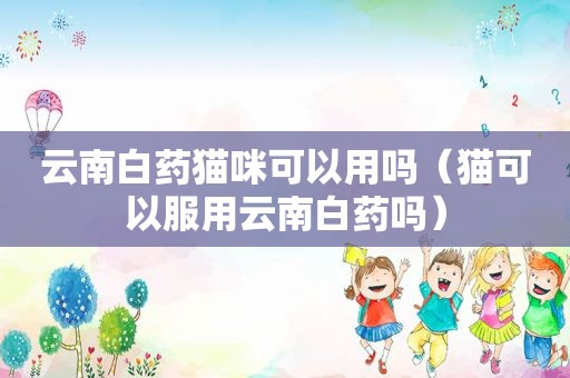 云南白药猫咪可以用吗（猫可以服用云南白药吗）