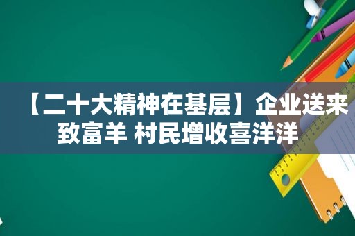 【二十大精神在基层】企业送来致富羊 村民增收喜洋洋