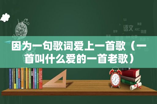 因为一句歌词爱上一首歌（一首叫什么爱的一首老歌）