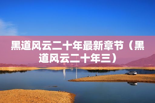 黑道风云二十年最新章节（黑道风云二十年三）