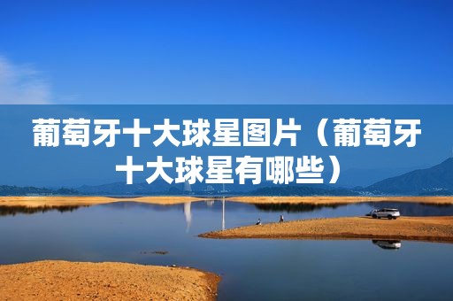 葡萄牙十大球星图片（葡萄牙十大球星有哪些）
