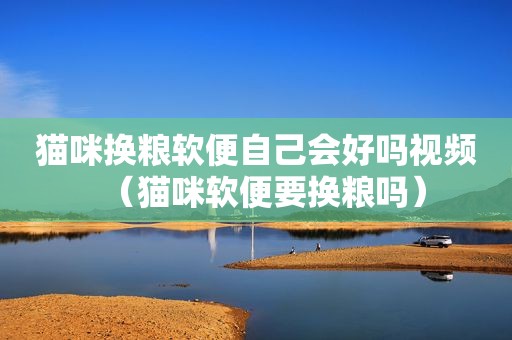 猫咪换粮软便自己会好吗视频（猫咪软便要换粮吗）