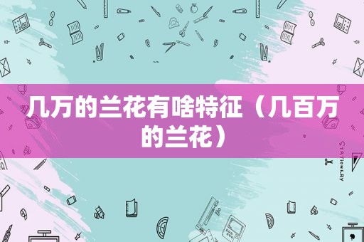 几万的兰花有啥特征（几百万的兰花）