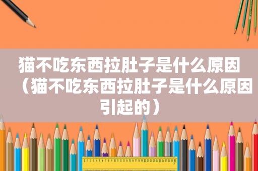 猫不吃东西拉肚子是什么原因（猫不吃东西拉肚子是什么原因引起的）