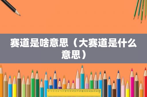 赛道是啥意思（大赛道是什么意思）
