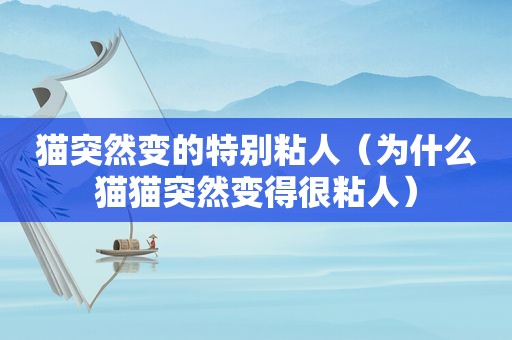 猫突然变的特别粘人（为什么猫猫突然变得很粘人）