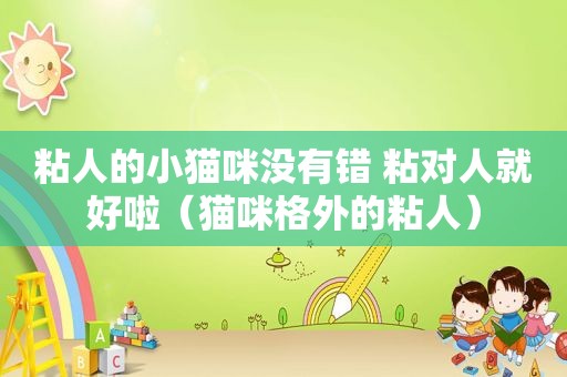 粘人的小猫咪没有错 粘对人就好啦（猫咪格外的粘人）