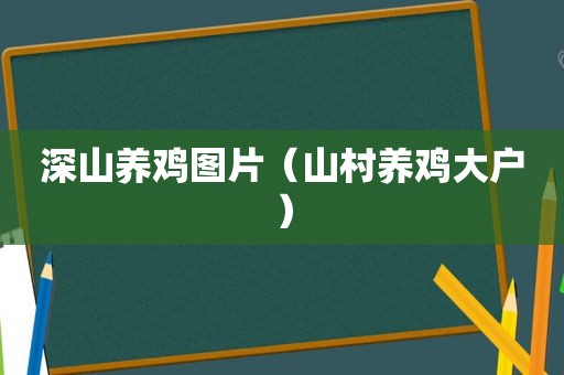 深山养鸡图片（山村养鸡大户）
