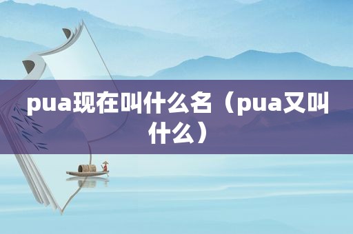 pua现在叫什么名（pua又叫什么）