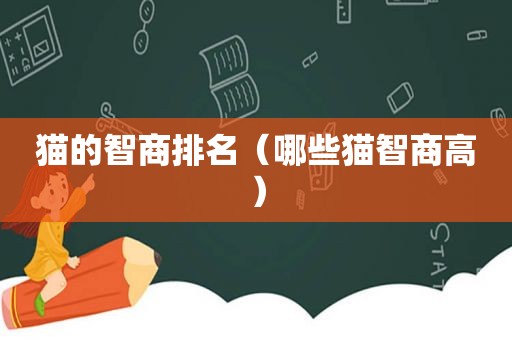 猫的智商排名（哪些猫智商高）