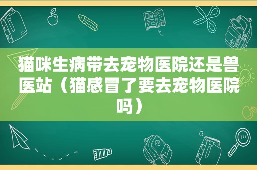 猫咪生病带去宠物医院还是兽医站（猫感冒了要去宠物医院吗）