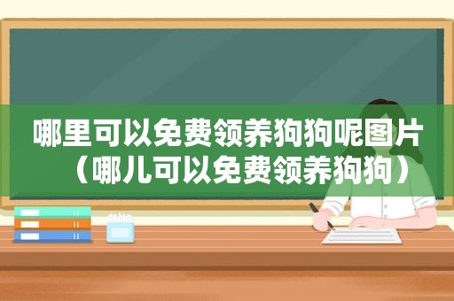 哪里可以免费领养狗狗呢图片（哪儿可以免费领养狗狗）