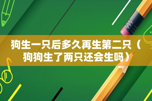 狗生一只后多久再生第二只（狗狗生了两只还会生吗）