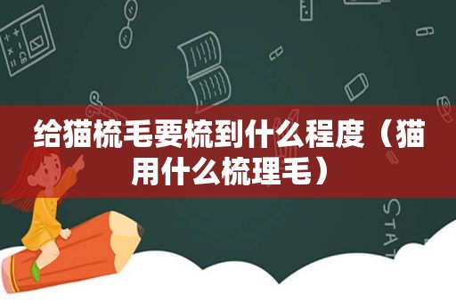 给猫梳毛要梳到什么程度（猫用什么梳理毛）