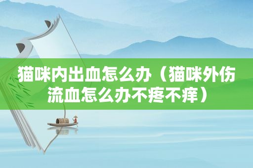 猫咪内出血怎么办（猫咪外伤流血怎么办不疼不痒）
