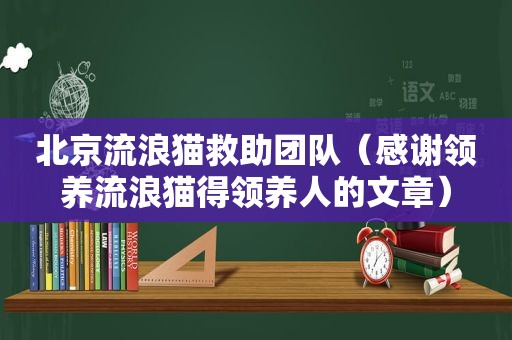 北京流浪猫救助团队（感谢领养流浪猫得领养人的文章）