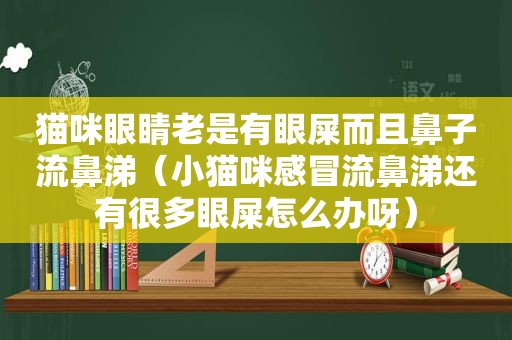 猫咪眼睛老是有眼屎而且鼻子流鼻涕（小猫咪感冒流鼻涕还有很多眼屎怎么办呀）
